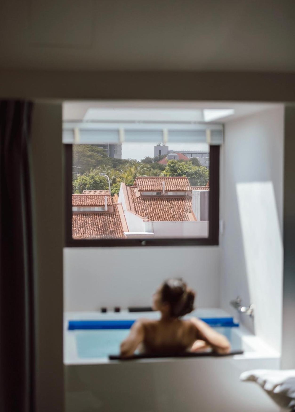 Deluxe Skylight